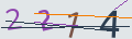 verifycode